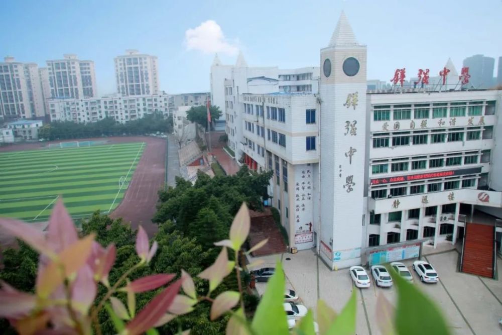 中學觀音小學彭山四小彭山一小鵬利小學實驗小學錦江幼兒園彭山區幼兒