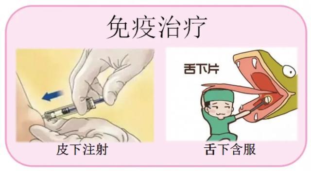 建议做脱敏反应,等待这个春天过敏季结束后,再到医疗机构进行免疫治疗