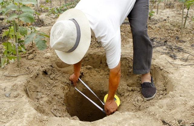 古代倒斗也有潜规则?这3种墓千万不能掘,不然没有好下场!