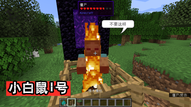 Minecraft把五种生物扔在太阳底下 僵尸 老拿我实验 已绝望 末影人 僵尸猪人 骷髅 大黑 瞬移 蜘蛛 我的世界 僵尸