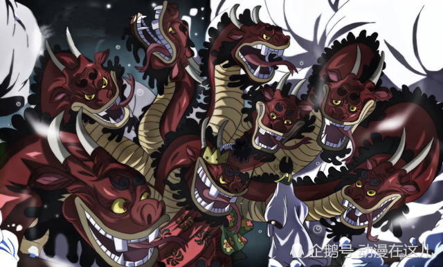 海贼王 日和被洗白 她化名小紫骗来的钱 都让丑三小子送穷人了 腾讯新闻