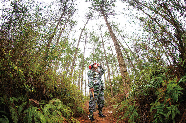 女护林员巡山2900亩山林一个月爬一遍从不敢去到心里有张图