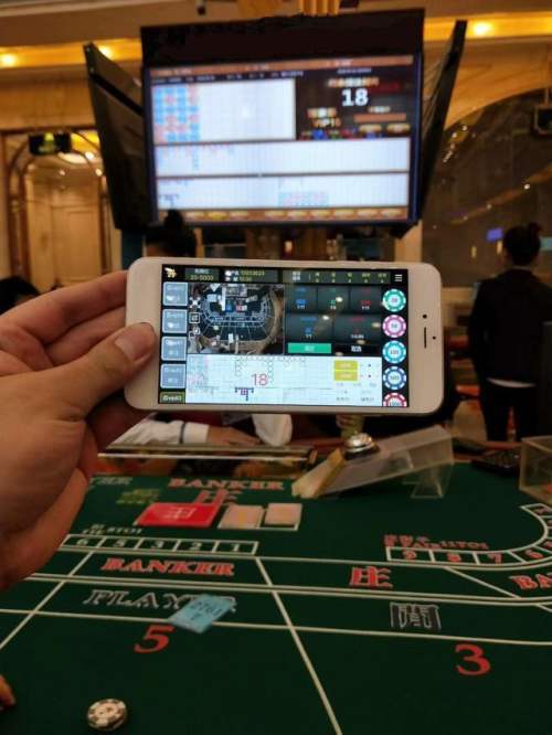 网赌吞噬了赌徒的一切