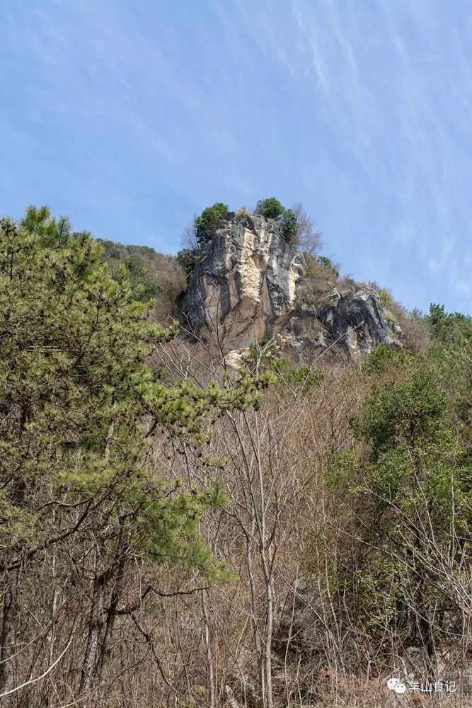 三月的北羊山是否一片萧瑟