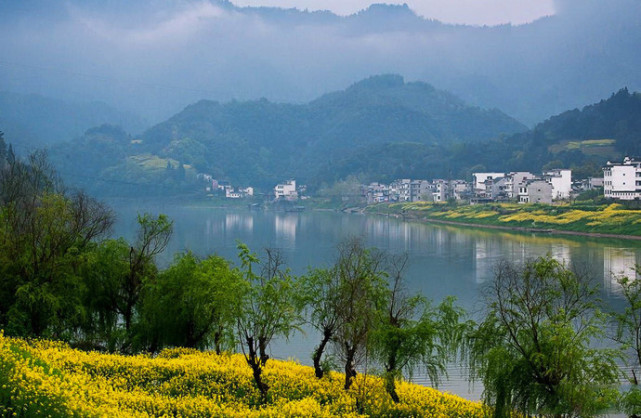 詩畫鄉村,新安江山水畫廊,大賞油菜花