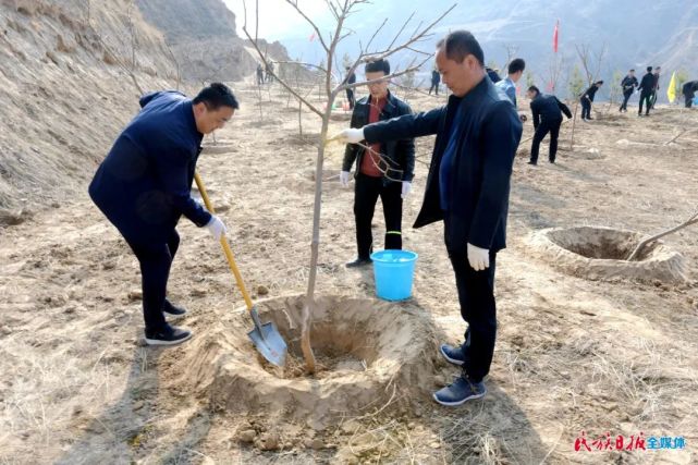 州上四大家领导在东乡县参加义务植树活动