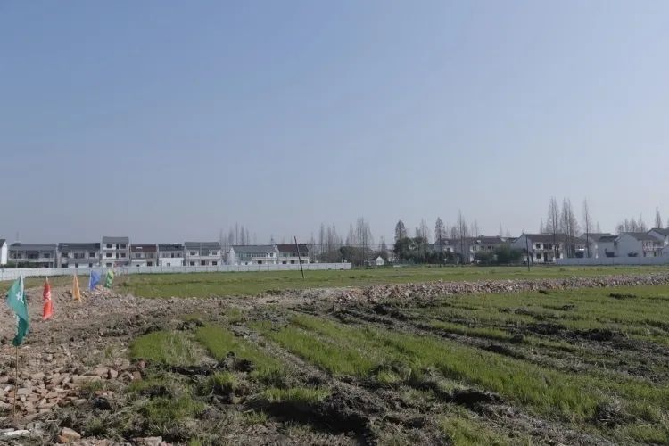 150户农民将住进小别墅!石湖荡镇东夏村农民相对集中居住点启动建设