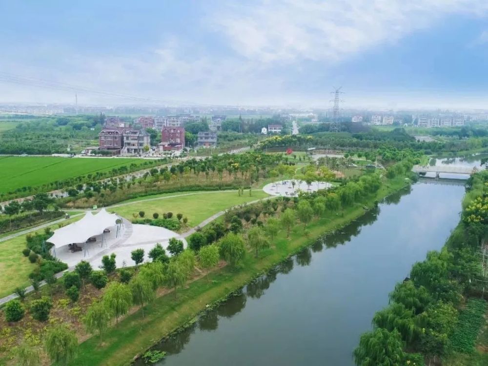 青东联动发展华新镇如何破题镇党委书记陆青这样说