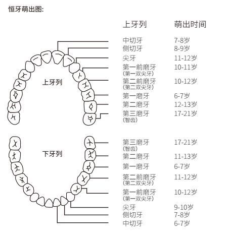 乳牙蛀牙要補嗎怎麼預防蛀牙呢