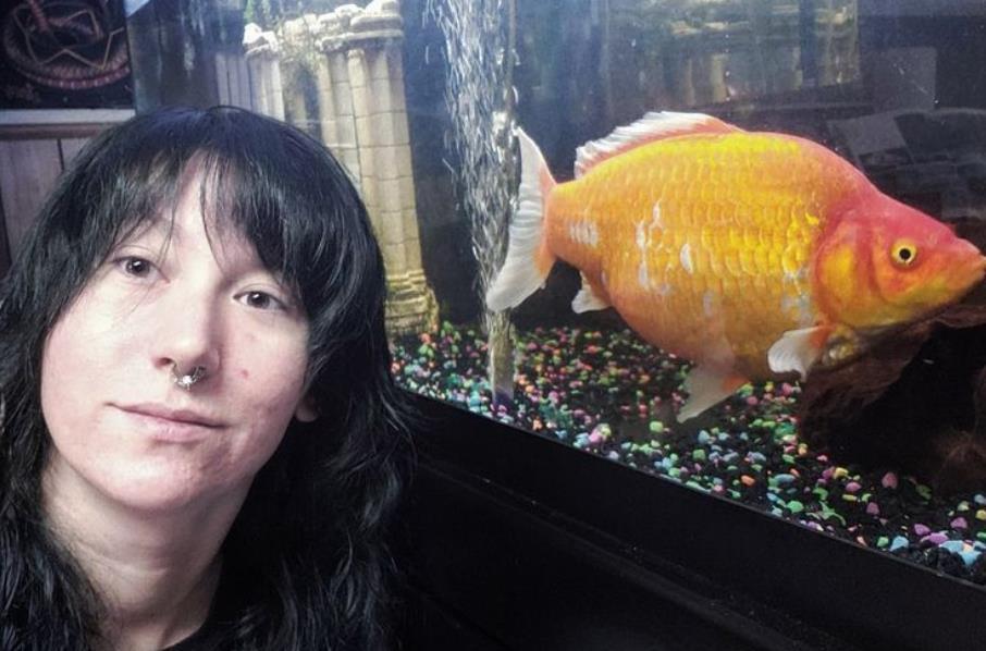 美国女子金鱼宠物变食肉怪吃掉同伴后长到30厘米