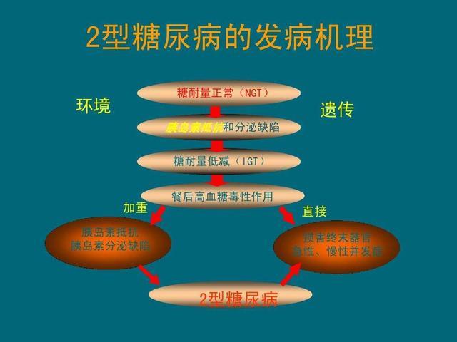 二型糖尿病有哪些症状?终于有医生讲清楚了,3种疗法是临床上最常用的