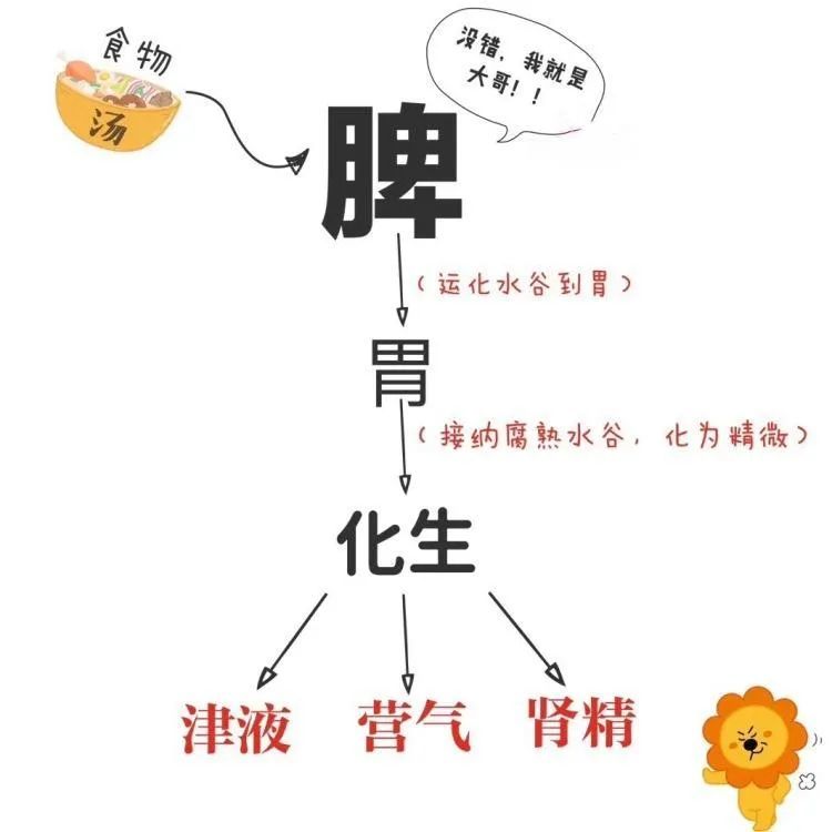 脾胃虚百病生,春季脾胃养起来!_腾讯新闻