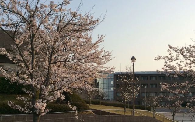 日本名校之石川县立看护大学 日本 教育 石川县 大学 学部