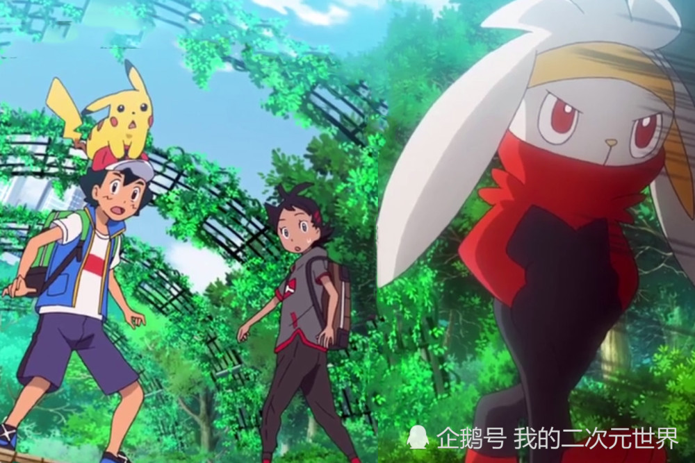 宝可梦剑盾又一只傲娇宝可梦诞生对训练家似乎有成见