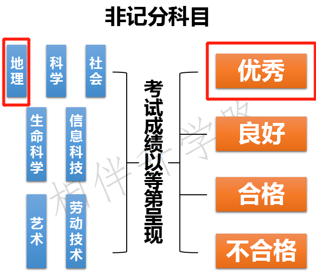 新中考15门学科,该如何备考?一文理清楚!