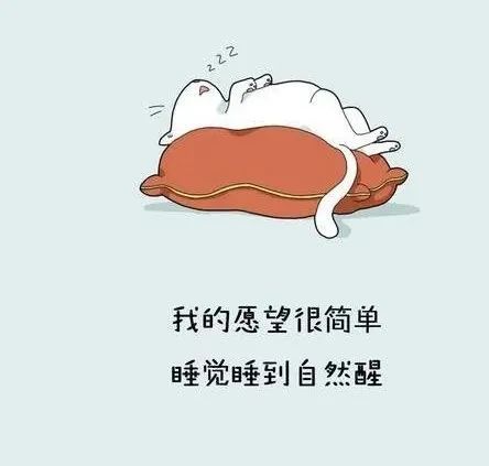 医疗队员返沪第一夜:葛优躺,然后和床融为一体