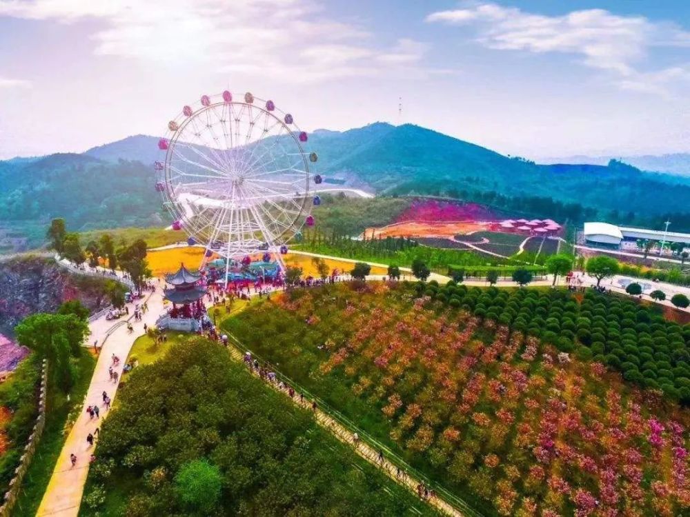 怡卉园景区3月20日正式开园 一场欢乐踏青之旅即将开启