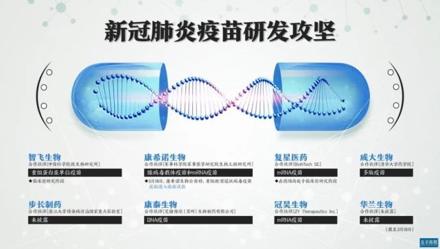 新冠疫苗入臨床,康希諾憑什麼拔得頭籌?