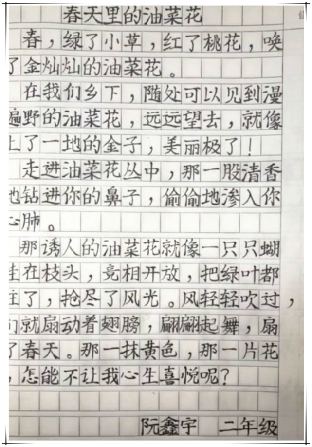 小学生满分作文走红 字体工整有文笔 老师自叹不如 字太漂亮了 小学生 作文