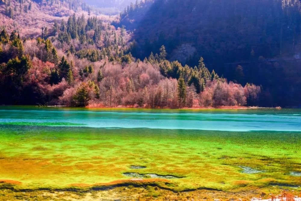 五花海由于海底的钙华沉积,各种颜色的藻类以及岸边五彩的林木倒影而