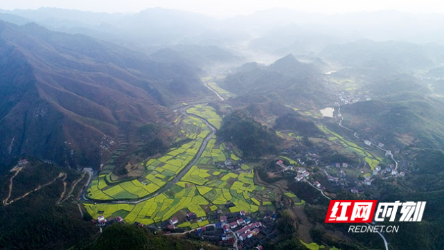 沅陵县荔溪乡境内开放的油菜花.