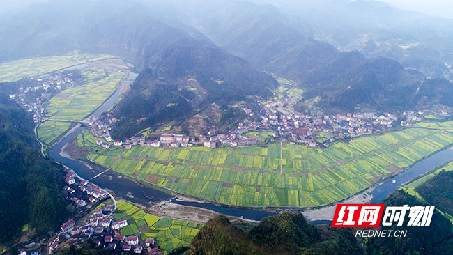 沅陵县荔溪乡境内开放的油菜花.