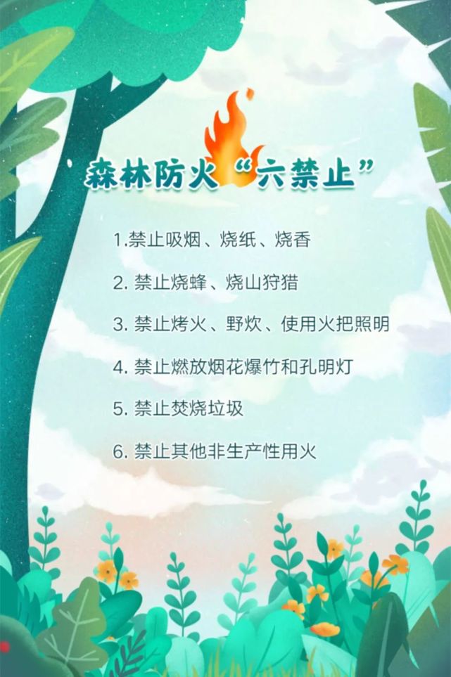 森林防火有你有我这些知识要知道