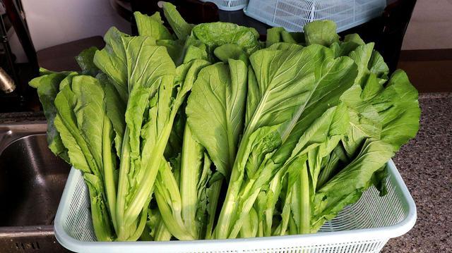 野菜正当时 除了芥菜 芦蒿 蒲公英 马齿苋 还有谁让人着迷 腾讯新闻