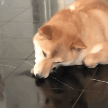 08 大家好,我是美食博主 今天的胡萝卜,有点难吃 09 这里的地板没擦