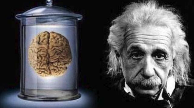 天才真是天生的当爱因斯坦的大脑被切成了240块答案呼之欲出