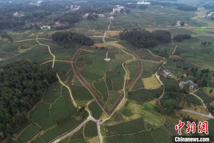 贵州凤冈二级公路规划图片