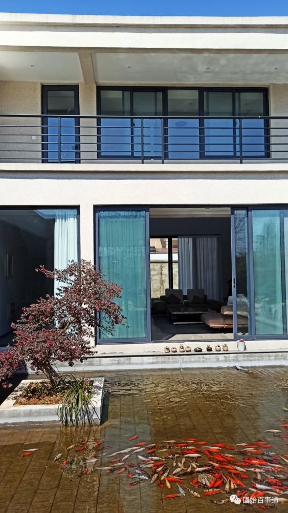 固始的新农家小院,太让人羡慕了!