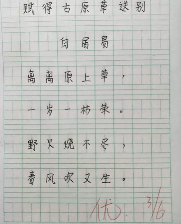 小学生学霸写的字太漂亮,字迹犹如印刷体,网友:字就该这样写