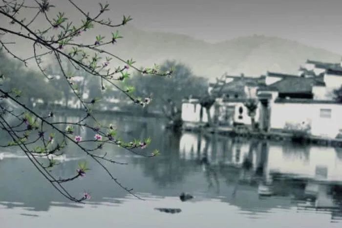 诗意春分『二十四节气』