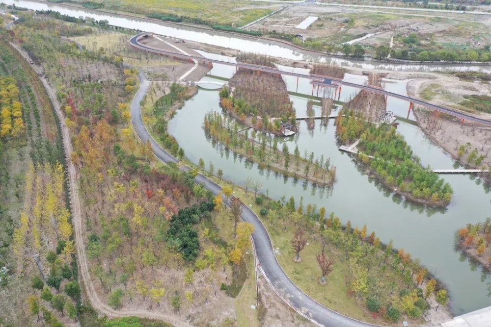 碧云(张家浜)楔形绿地北靠金桥,南临张江高科技园区,西侧紧邻陆家嘴