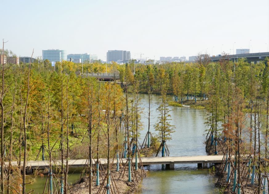 浦东这4块楔形绿地正在建设中,你最期待哪个?