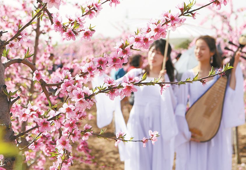 叶县桃花节赏花季持续到5月1日 腾讯新闻