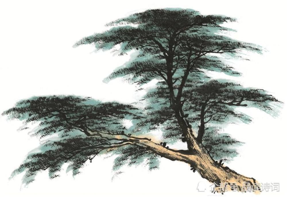 而且不乏还有一些充满哲理的作品,譬如杜荀鹤的这首《小松》,那就是一