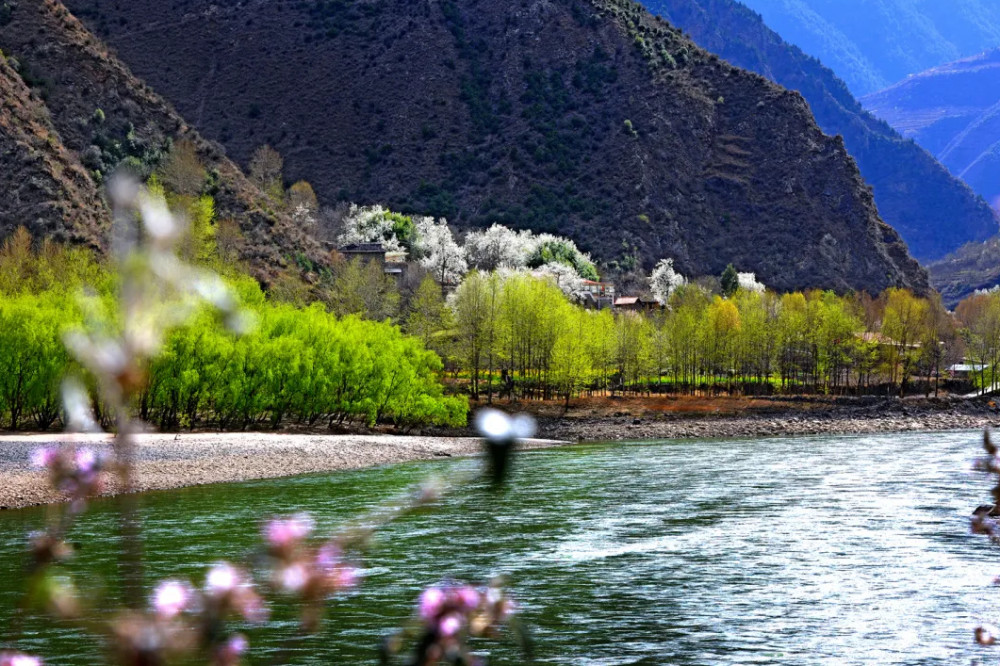 三月的金川春天的样子