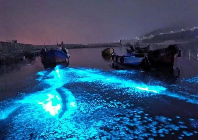 平潭是最早几个出现"蓝眼泪"的海域之一,特别是在坛南湾,塘屿岛,龙凤