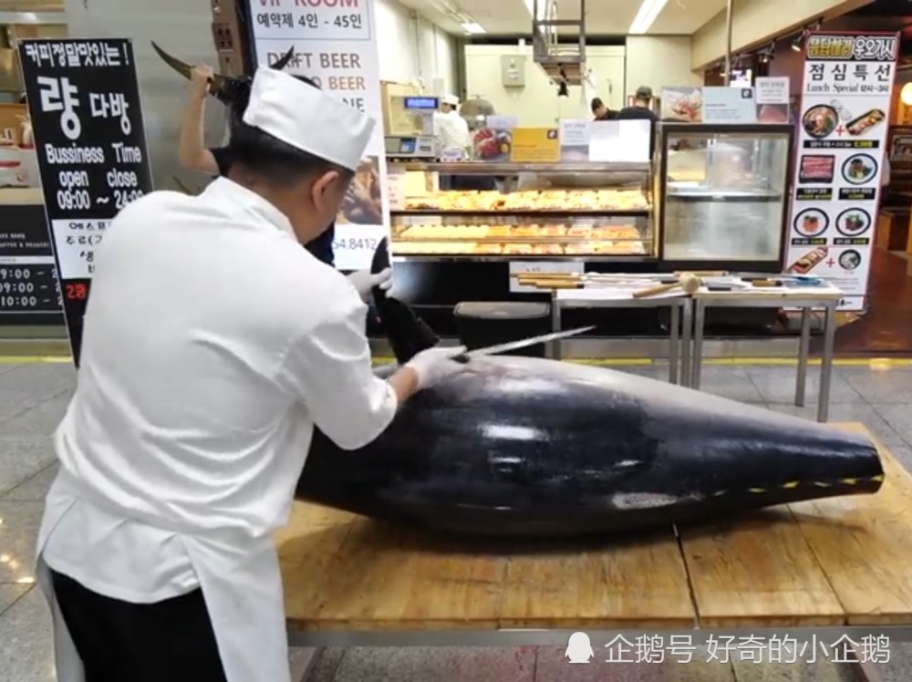 价值50万元的蓝鳍金枪鱼重350斤师傅分割鱼技术一流鱼肉质顶级_腾讯新闻