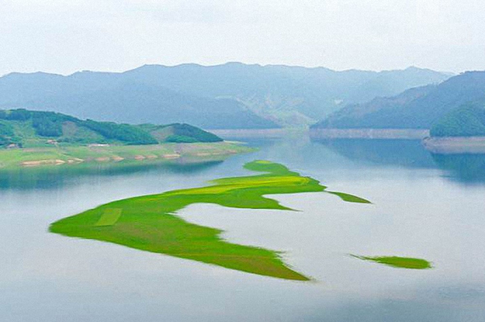 風過綠江花海盪漾塞外的香格里拉綠江村