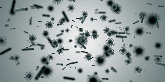 细菌也濒危 科学家们想为人体内的微生物建造一艘 诺亚方舟 肠道 微生物 细菌 科学家