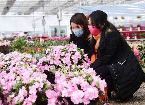 瀋陽大東北藝園花卉市場復工兩週漸入正軌