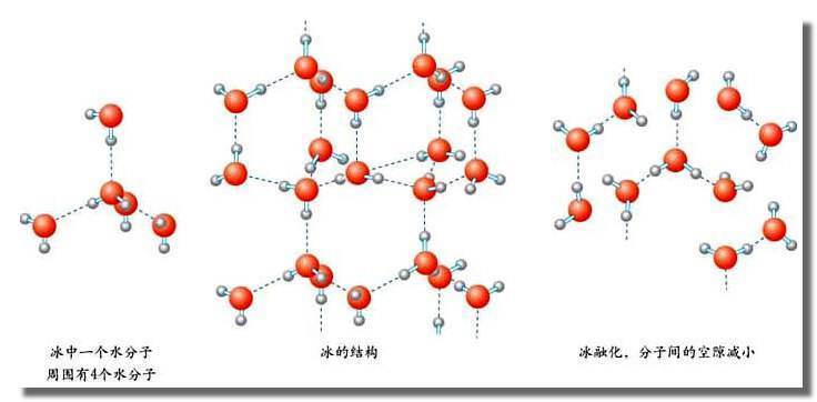 人体不仅仅只有水分子,还有很多复杂的成分,比如:脂质,蛋白质以及dna