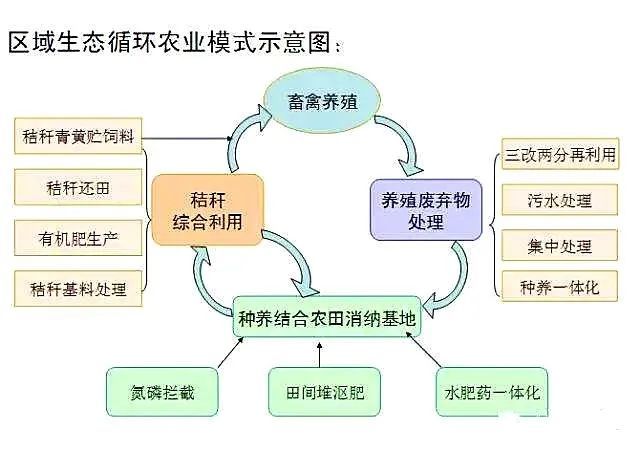 日本爱东町地区循环农业的核心内容是发展油菜生产.