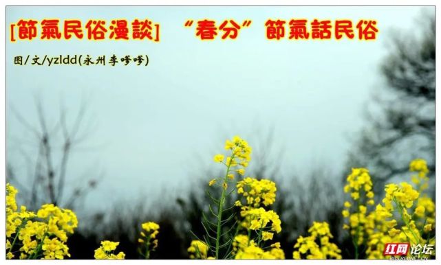 今天春分 你知道有哪些习俗吗 潘荣陛 孔颖达 日坛 周礼 祭月 春分 北半球 帝京岁时纪胜 礼记 祭祀