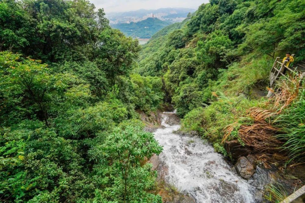 "肥宅"太久,到观音山森林里动起来,深吸一口"森氧"