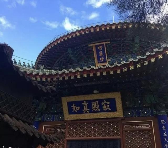 小鸽子胡雅斯6岁出道13岁彻底隐退31岁剃度出家