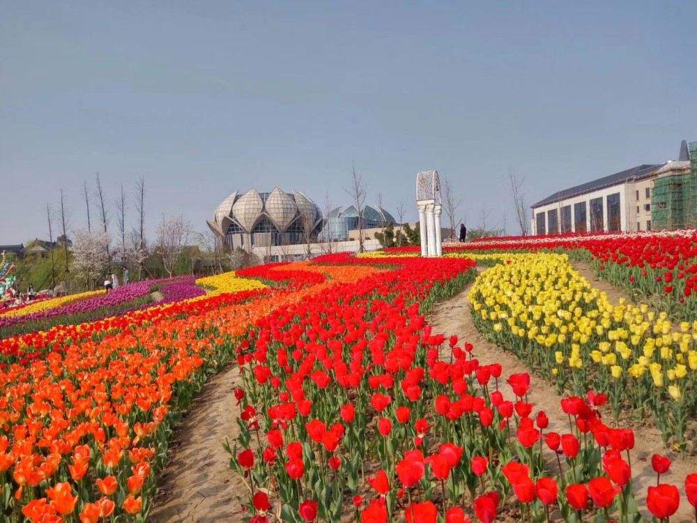 嘉善云澜湾四季花海